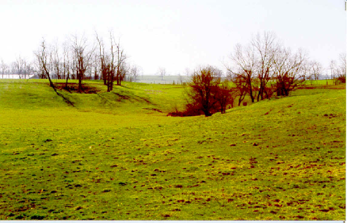 wpe1.jpg (119375 bytes)