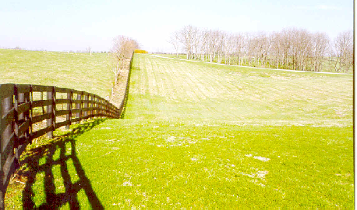 wpe2.jpg (99844 bytes)