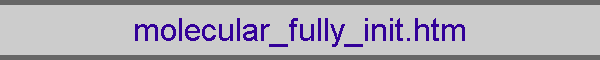 molecular_fully_init.htm